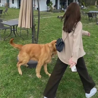 地狱神探